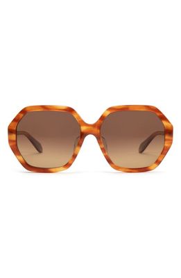 Mohala Eyewear Noela Special Fit Low 58mm Gradient Polarized Square Sunglasses in Sunset Tortoise