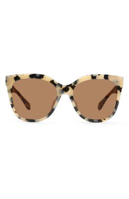 Mohala Eyewear Pikake 55mm Medium Bridge Medium Width Polarized Cat Eye Sunglasses in Coco Tortoise