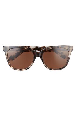 Mohala Eyewear Pikake 57mm Medium Bridge Wide Width Polarized Cat Eye Sunglasses in Havana Tortoise