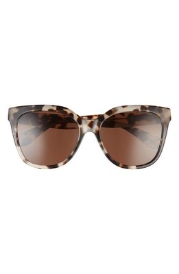 Mohala Eyewear Pikake Low Bridge Medium Width 55mm Polarized Cat Eye Sunglasses in Havana Tortoise