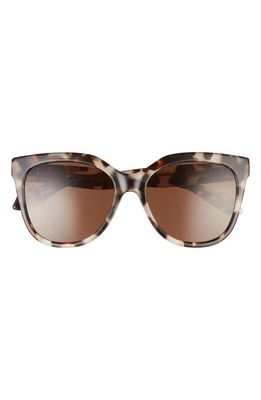 Mohala Eyewear Pikake Medium Bridge Medium Width 55mm Polarized Cat Eye Sunglasses in Havana Tortoise