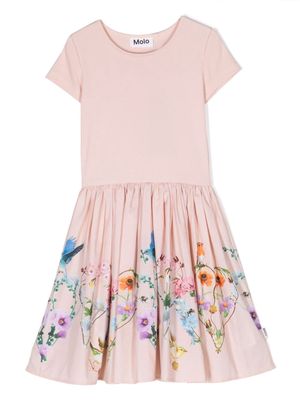 Molo Cissa floral-print flared dress - Pink