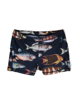 Molo fish-print swim trunks - Blue
