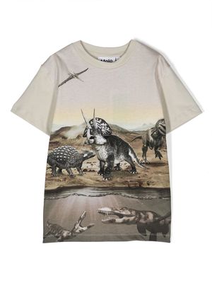Molo graphic-print cotton T-shirt - Brown
