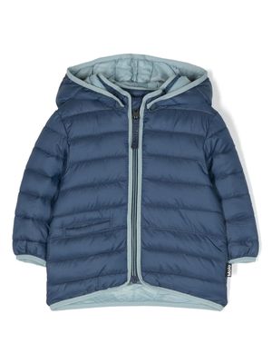 Molo Harmony hooded padded jacket - Blue