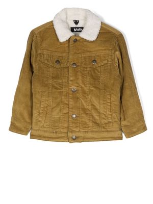 Molo Hen corduroy jacket - Green