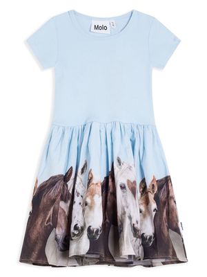 Molo horse-print cotton dress - Blue