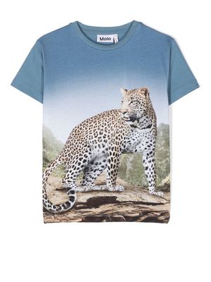Molo leopard-print cotton T-Shirt - Blue
