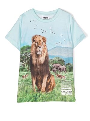 Molo lion-motif cotton T-Shirt - Blue