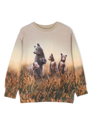 Molo Mattis bear-print sweatshirt - Neutrals