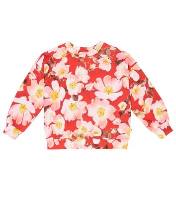 Molo Mika floral cotton sweatshirt