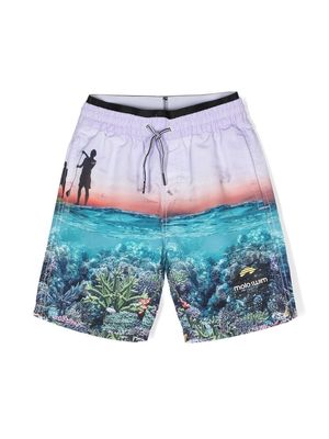 Molo ocean-motif shorts - Blue