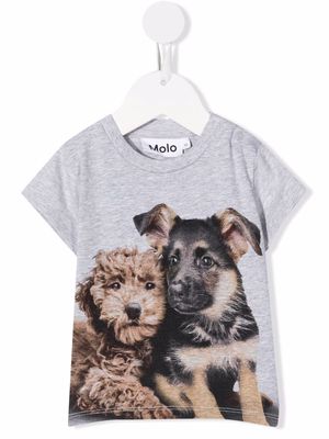 Molo Pups Mates graphic T-shirt - Grey