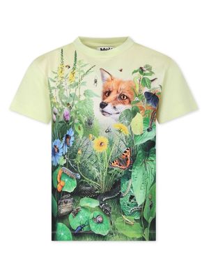 Molo Roxo Wild Garden-print cotton T-shirt - Green