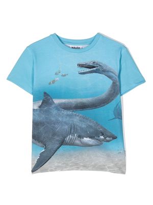 Molo sea life all-over-printed t-shirt - Blue