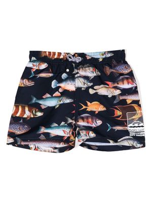 Molo sea life-print swim shorts - Blue