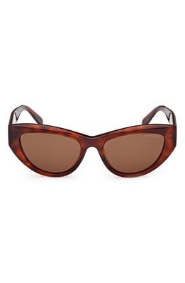 Moncler 53mm Polarized Cat Eye Sunglasses in Dark Havana /Brown Polarized
