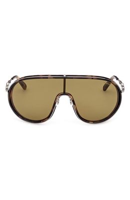 Moncler Lunettes Vangarde 56mm Shield Sunglasses in Havana & Green /Green