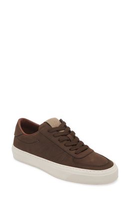 Moncler Monclub Low Top Sneaker in Coffee Bean