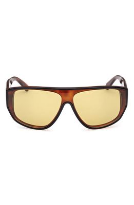Moncler Tronn 138mm Shield Sunglasses in Havana Black /Yellow