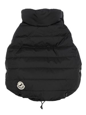 Moncler x Poldo logo-patch padded pet jacket - Black