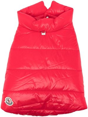 Moncler x Poldo padded button-up pet jacket - Red