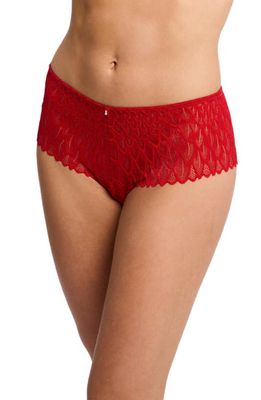 Montelle Intimates Feather Lace Brazilian Briefs in Sweet Red