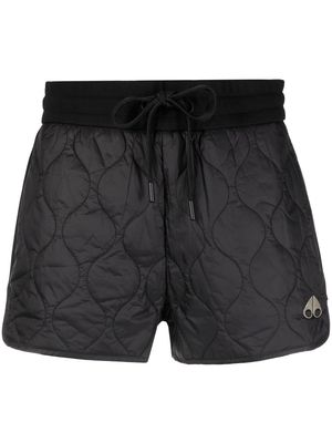 Moose Knuckles quilted recycled-nylon shorts - Black