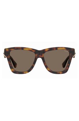 Moschino 54mm Gradient Rectangular Sunglasses in Havana /Brown