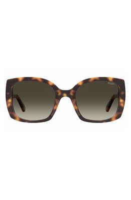 Moschino 54mm Gradient Square Sunglasses in Havana 2 /Brown Gradient