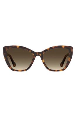 Moschino 55mm Gradient Cat Eye Sunglasses in Havana 2/Brown Gradient