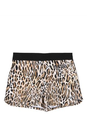 Moschino leopard-print short shorts - Neutrals