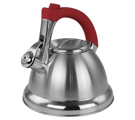 Mr. Coffee 1.8 quart Stainless Steel Whistling Tea Kettle