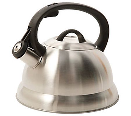 Mr. Coffee Flintshire 1.75-qt Stainless Steel T ea Kettle