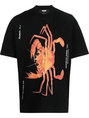 MSGM crab-print cotton T-shirt - Black