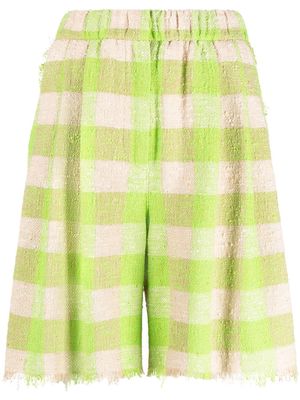 MSGM distressed plaid shorts - Green