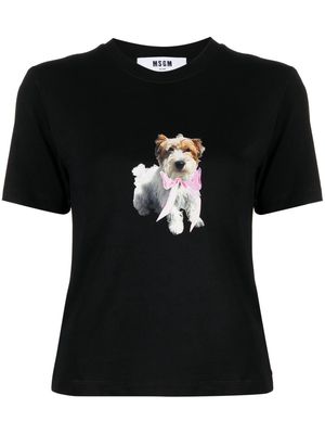 MSGM dog-print cotton T-Shirt - Black