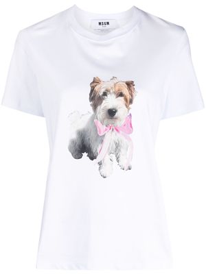 MSGM dog-print cotton T-shirt - White