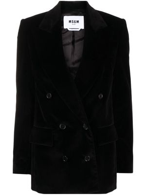 MSGM double-breasted velvet cotton blazer - Black