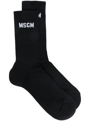 MSGM fine-ribbed logo socks - Black