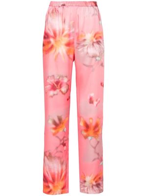 MSGM floral-print straight-leg trousers - Pink