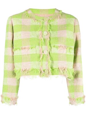 MSGM frayed-edge checked cropped jacket - Green