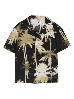 MSGM Kids palm tree-print poplin shirt - Black