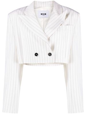 MSGM pinstripe-pattern cropped blazer - White