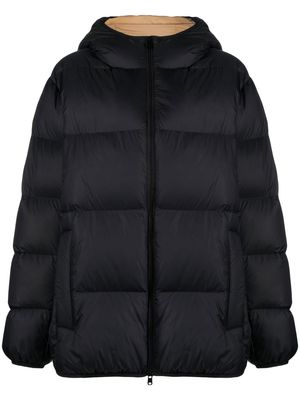 MSGM quilted padded down jacket - Black