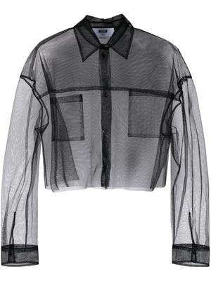 MSGM transparent long-sleeve cropped shirt - Black
