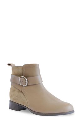 Munro Chestnut Bootie in Taupe/Sesame Combo
