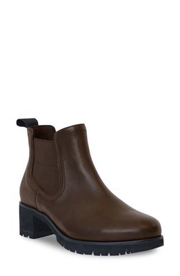 Munro Darcy Bootie in Chocolate Tumbled Leather