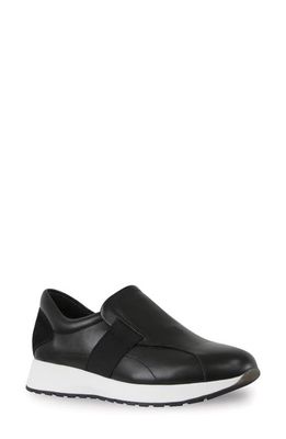 Munro Laurel Slip-On Sneaker in Black