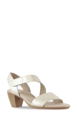 Munro Lucia Sandal in Gold